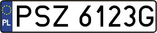 PSZ6123G