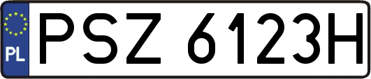 PSZ6123H