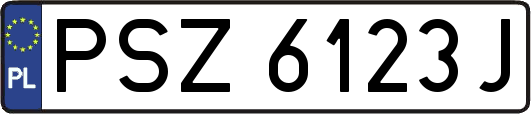 PSZ6123J
