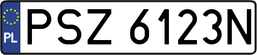 PSZ6123N