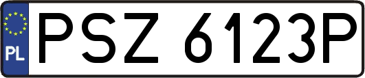 PSZ6123P