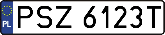 PSZ6123T
