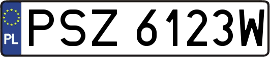 PSZ6123W