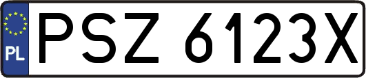 PSZ6123X