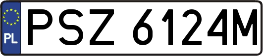 PSZ6124M