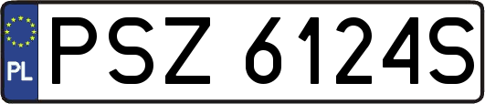 PSZ6124S
