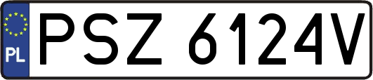 PSZ6124V