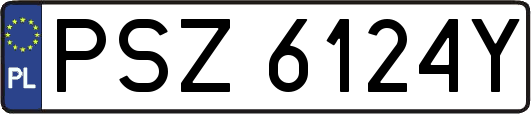 PSZ6124Y