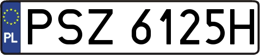 PSZ6125H