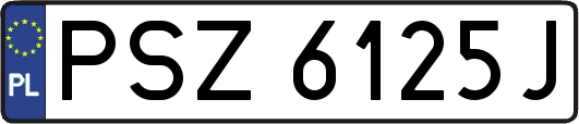 PSZ6125J