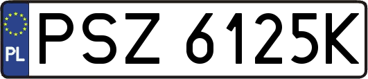 PSZ6125K