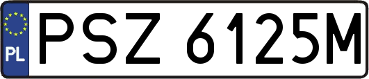 PSZ6125M