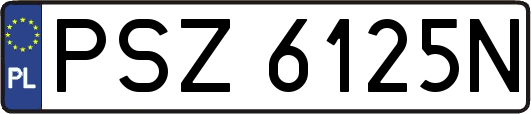 PSZ6125N