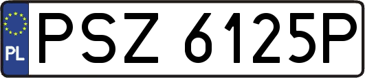 PSZ6125P