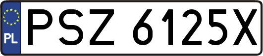 PSZ6125X