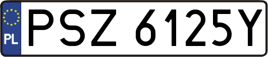 PSZ6125Y