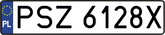 PSZ6128X