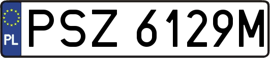 PSZ6129M