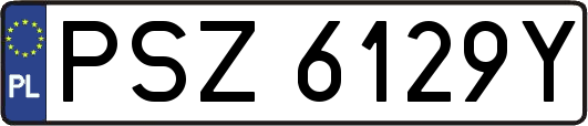 PSZ6129Y