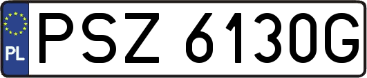 PSZ6130G