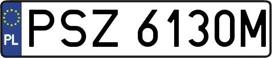 PSZ6130M
