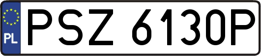 PSZ6130P