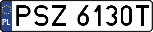 PSZ6130T