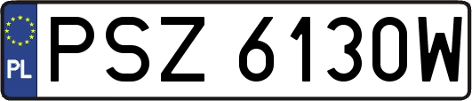 PSZ6130W