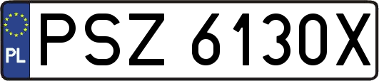 PSZ6130X