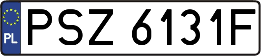 PSZ6131F