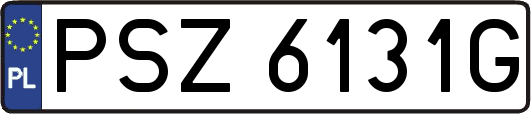PSZ6131G