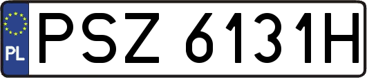 PSZ6131H