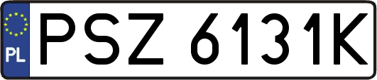 PSZ6131K
