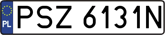 PSZ6131N