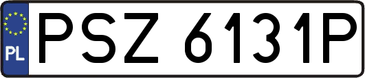 PSZ6131P