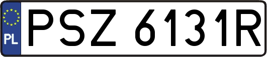 PSZ6131R