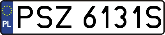 PSZ6131S
