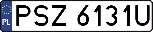 PSZ6131U