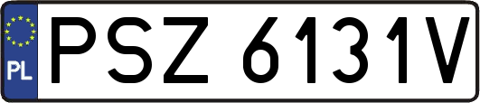 PSZ6131V