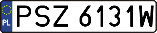PSZ6131W