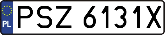PSZ6131X