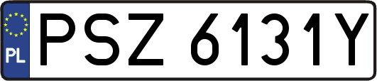 PSZ6131Y