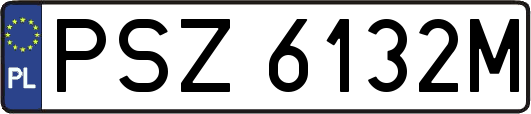 PSZ6132M