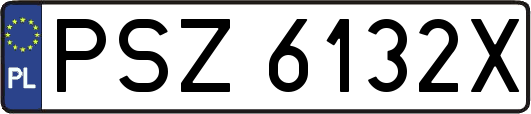 PSZ6132X