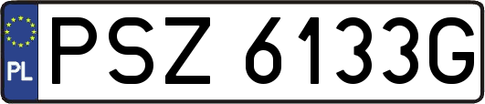 PSZ6133G