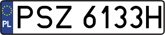 PSZ6133H