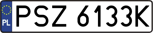 PSZ6133K