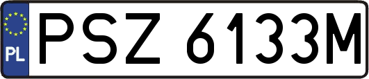 PSZ6133M