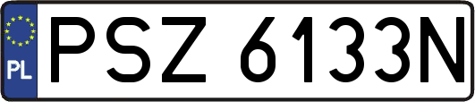 PSZ6133N