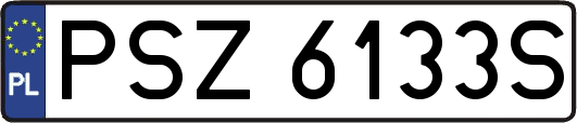 PSZ6133S